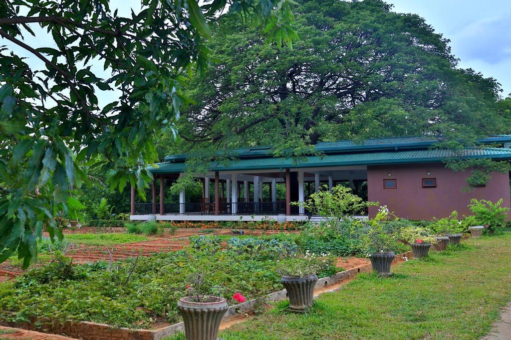 Grand & Gangula Hotel Dambulla Exterior foto