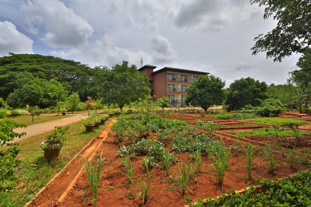 Grand & Gangula Hotel Dambulla Exterior foto