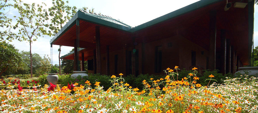 Grand & Gangula Hotel Dambulla Exterior foto