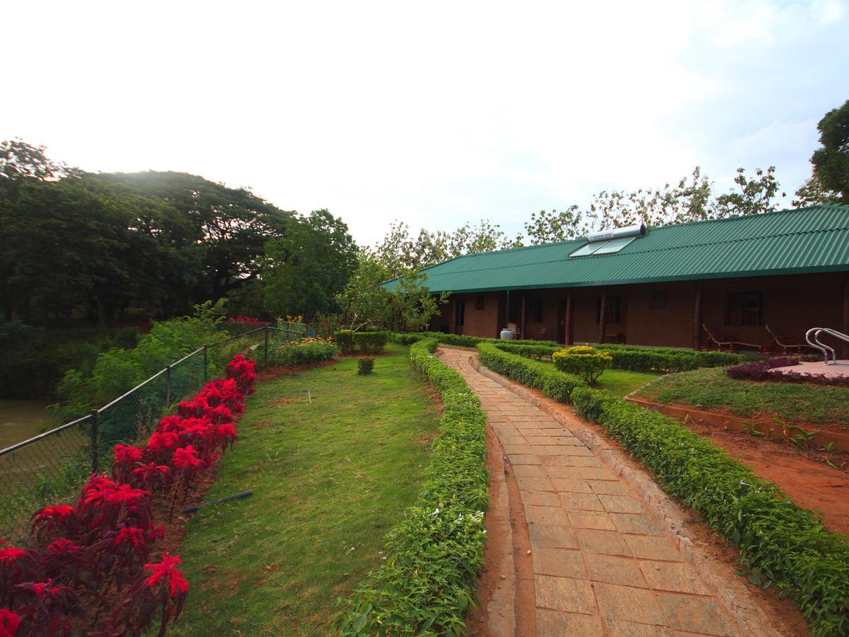 Grand & Gangula Hotel Dambulla Exterior foto
