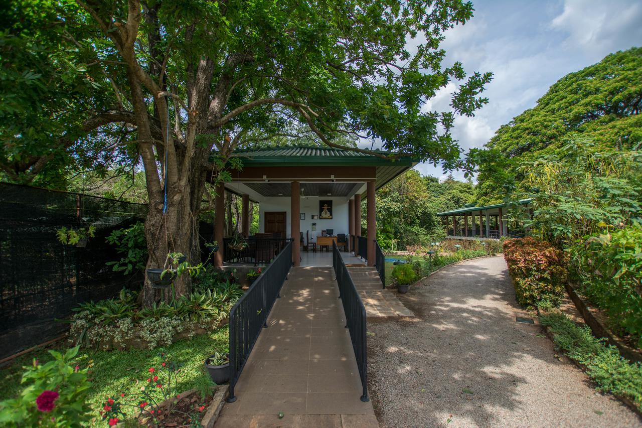 Grand & Gangula Hotel Dambulla Exterior foto