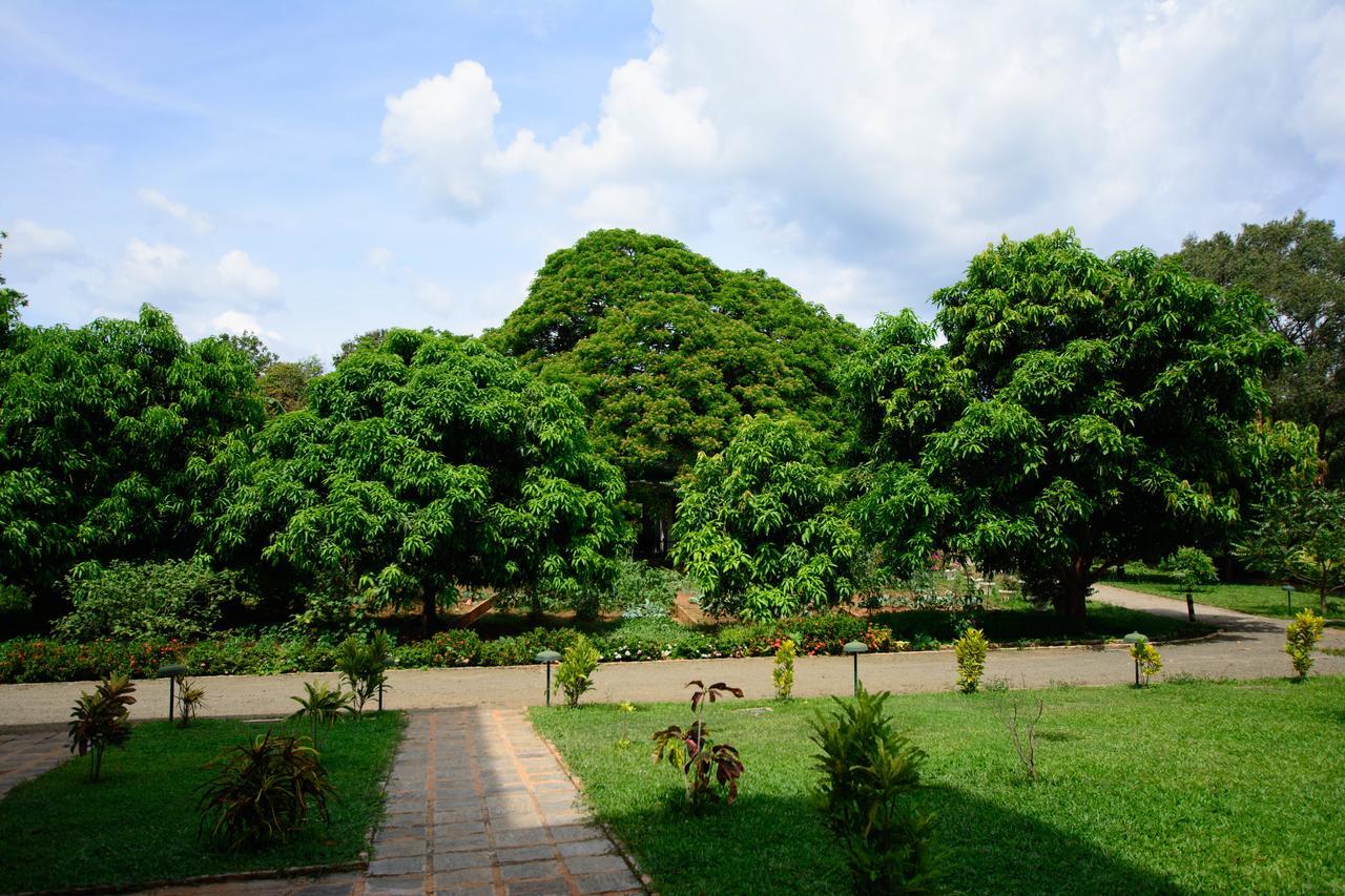 Grand & Gangula Hotel Dambulla Exterior foto