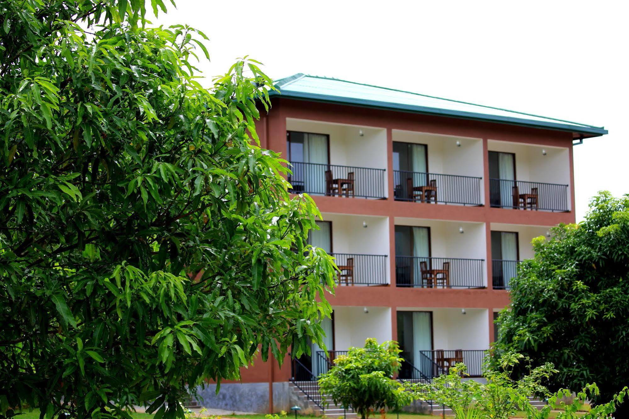 Grand & Gangula Hotel Dambulla Exterior foto