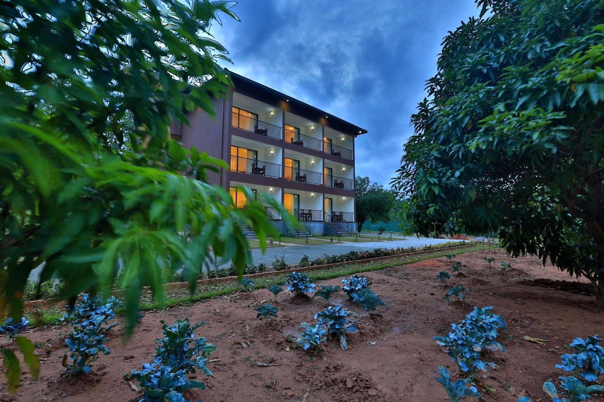 Grand & Gangula Hotel Dambulla Exterior foto