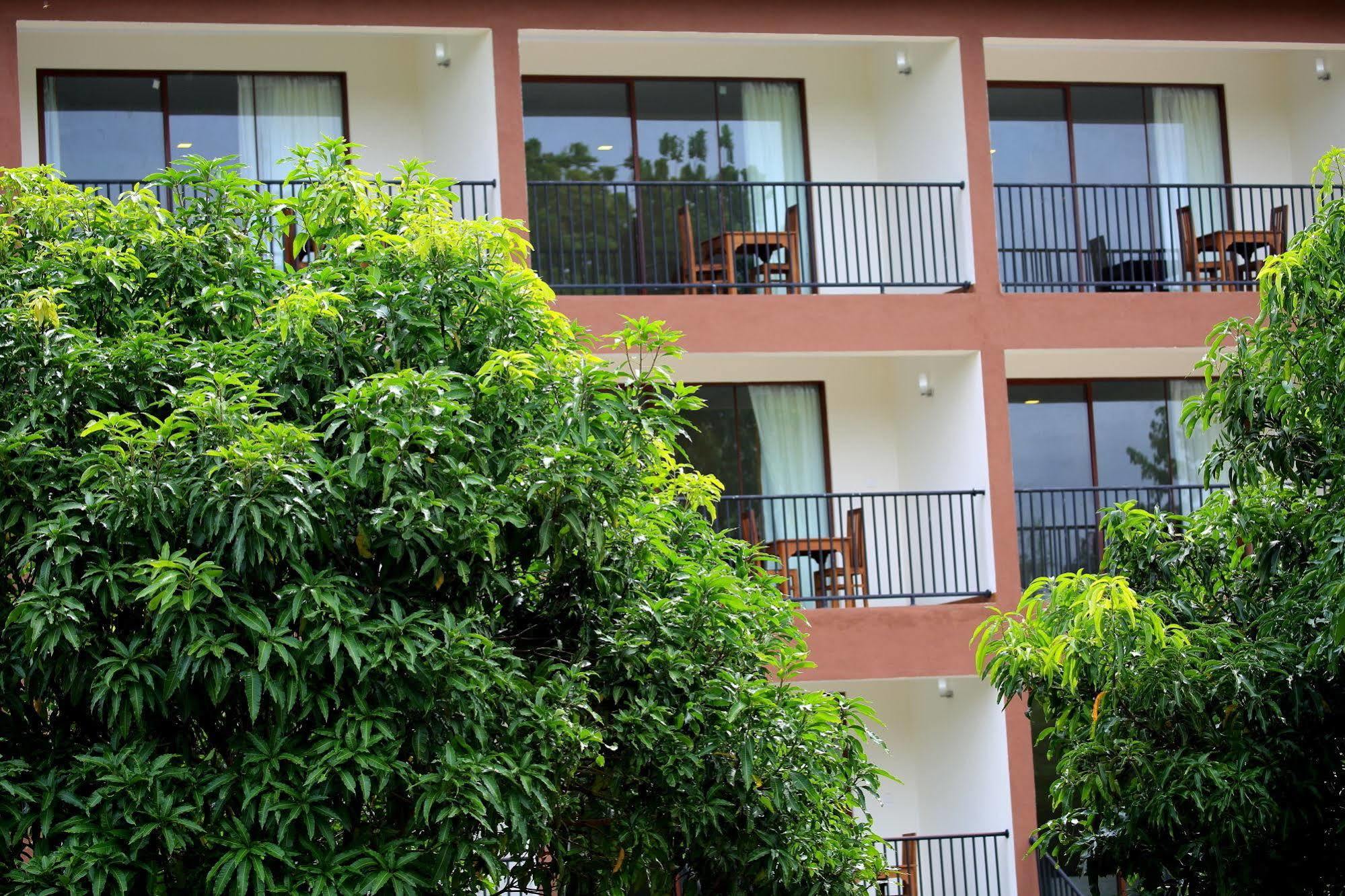 Grand & Gangula Hotel Dambulla Exterior foto